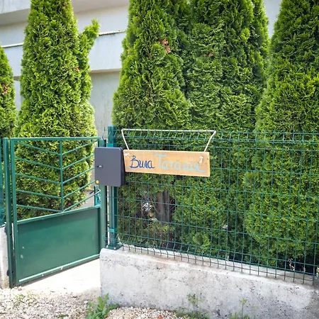 Vila Tatalia, Bozhurets