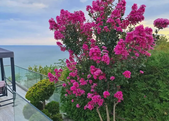 Tatalia, * Божурец