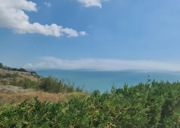 Tatalia, Божурец